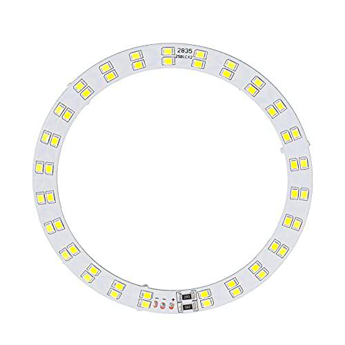 Haofy Anillo De Luz 3V-5V LED Regulable 10W, con Iluminación Fría Y Cálida De 2 Colores Alimentado por USB para Vlog