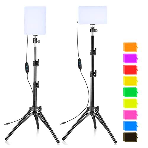 SEDGEWIN Kit de 2 luces LED para video, 6500 K, regulables