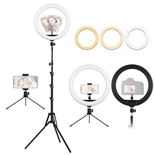 Aro de Luz con 2 Trípode, 12"/30.5CM Anillo de Luz LED de Escritorio